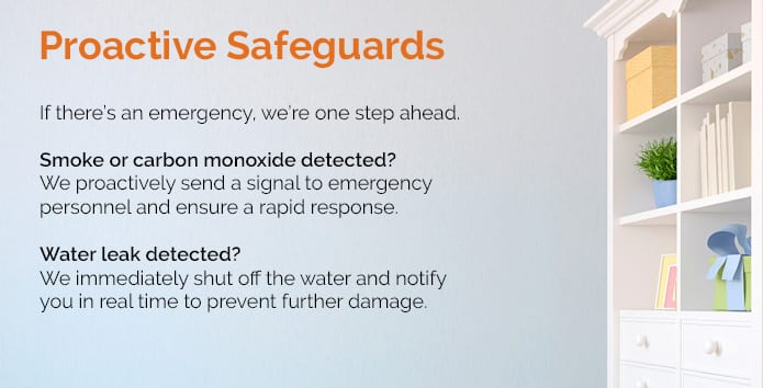 Proactive Safeguards 1