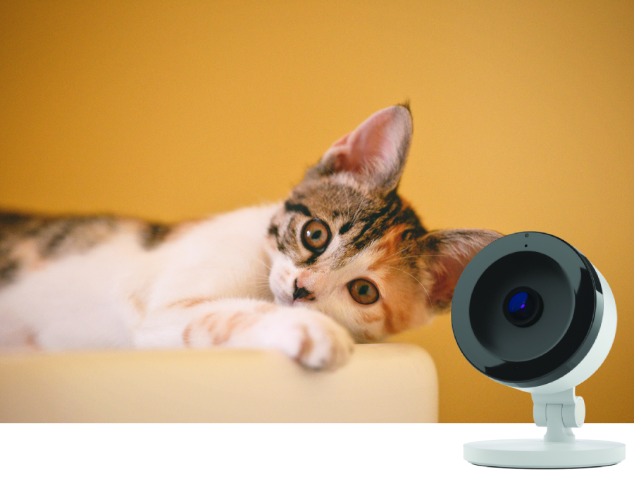 Smartzone Indoor camera cat 